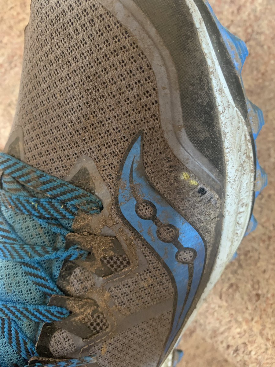 Rich Bayliss tweet media