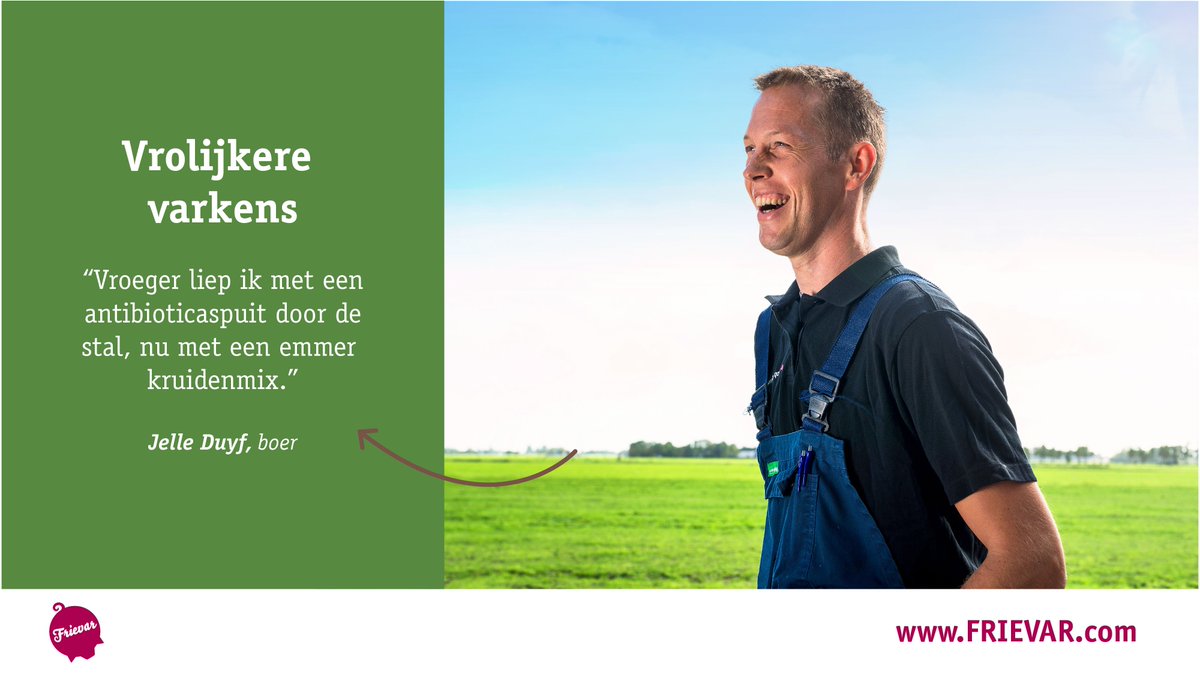 Een mooie uitspraak van een Frievarboer: "Vroeger liep ik met een antibioticaspuit door de stal, nu met een emmer kruidenmix". 

Is Frievar iets voor jou? Laat van je horen via info@frievar.com of  bezoek onze stand F111 op de @DutchPorkExpo in Venray op 16 en 17 april.
