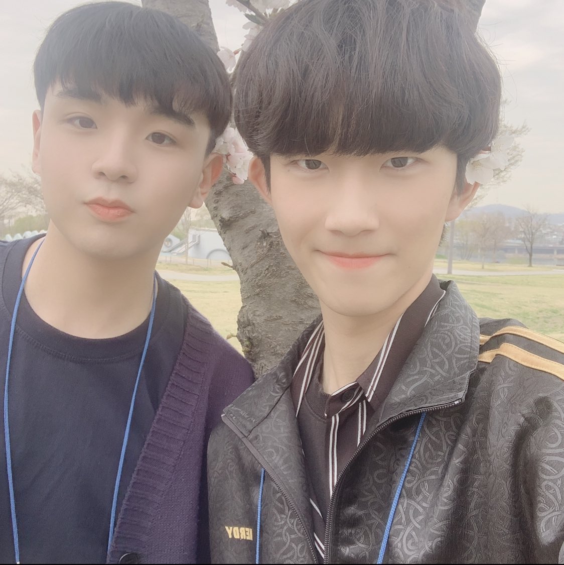 jm_jinn's tweet photo. Did you find the CHERRY BLOSSOMS?? They're on my and my friendโs ears! Welcome spring! #GBTWiriting #Cherryblossom #SPRING https://t.co/TdnRebSmnz