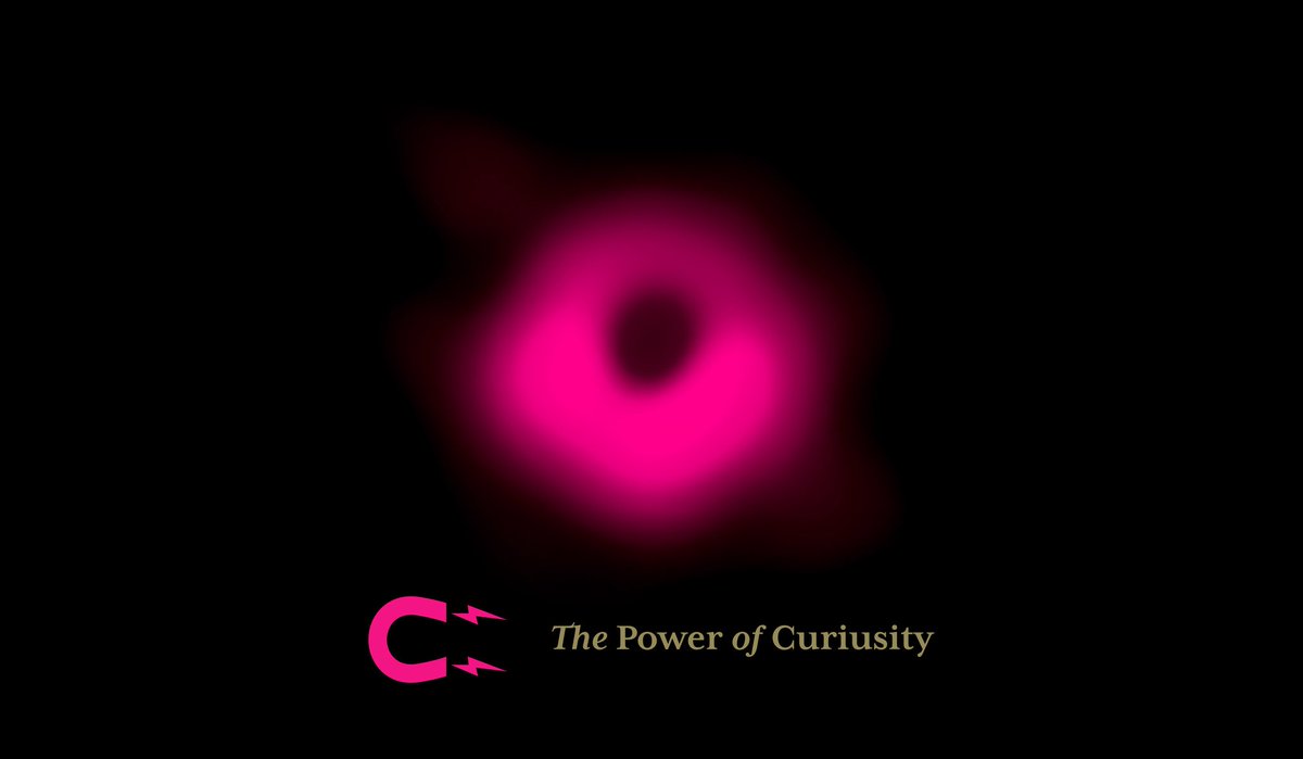 Curius 🔍 Branding & Design tweet media