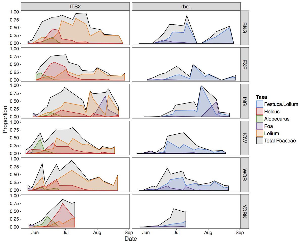 GeorginaBrenn10's tweet photo. #PollerGEN reveal that grass #pollen communities change throughout the allergy season using #eDNA #metabarcoding. Great news for #hayfever sufferers! @AllergyUK1 @asthmauk, with @SiCreerProf @BangorUni @MEFGL. Available @NatureEcoEvo: https://t.co/pjdgnE4P32 https://t.co/vB49ooFB6D