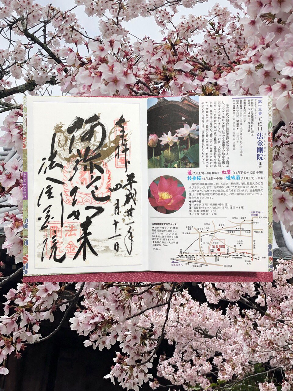 かおり Pa Twitter 関西花の寺 法金剛院に行ってきました 雨上がりの桜の花も綺麗でした 桜の御朱印はなくなってしまったとのことで 御朱印帳に直書きと 花寺の書き置きを拝受しました 法金剛院 関西花の寺 御朱印 T Co U6rt2jqkxm Twitter かおり Pa Twitter 関西花の寺 法金剛院に行ってきました 雨上がりの桜の花も綺麗でした 桜の御朱印はなくなってしまったとのことで 御朱印帳に直書きと 花寺の書き置きを拝受しました 法金剛院 関西花の寺 御朱印 T Co U6rt2jqkxm Twitter