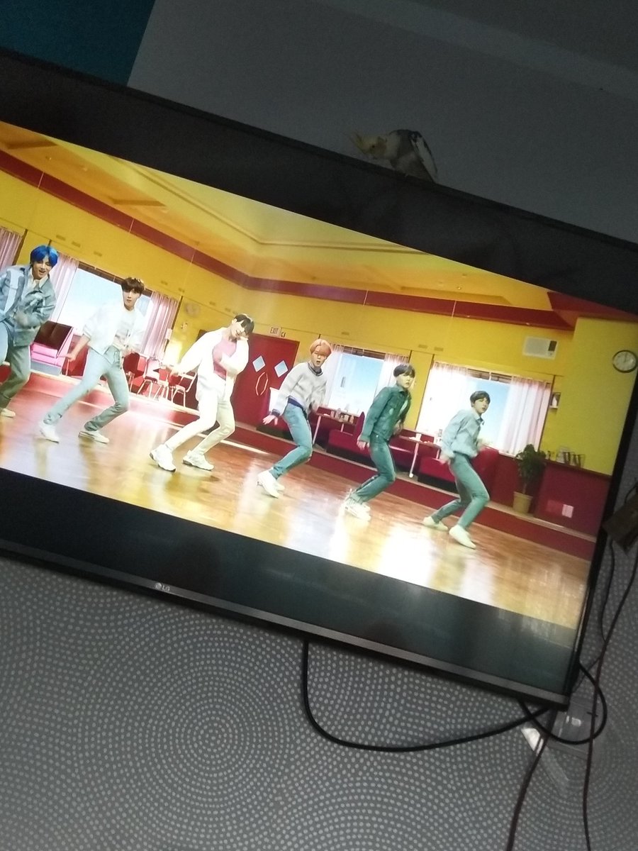 sheep_inky's tweet photo. Kiedy nawet twój papug zakochuje się w BTS xD 😂
#BoyWithLuv #BTS #Army #wywiadzkpoperkami #wywiadzkpoperami #PERSONAWelcomeParty https://t.co/V1SaxpZrrV