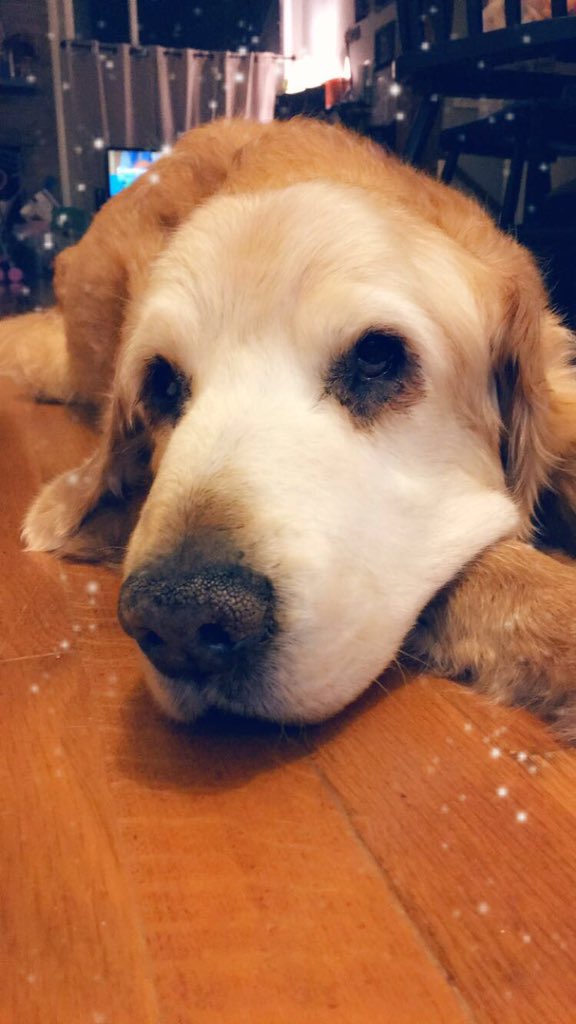 Shinertrip's tweet image. 