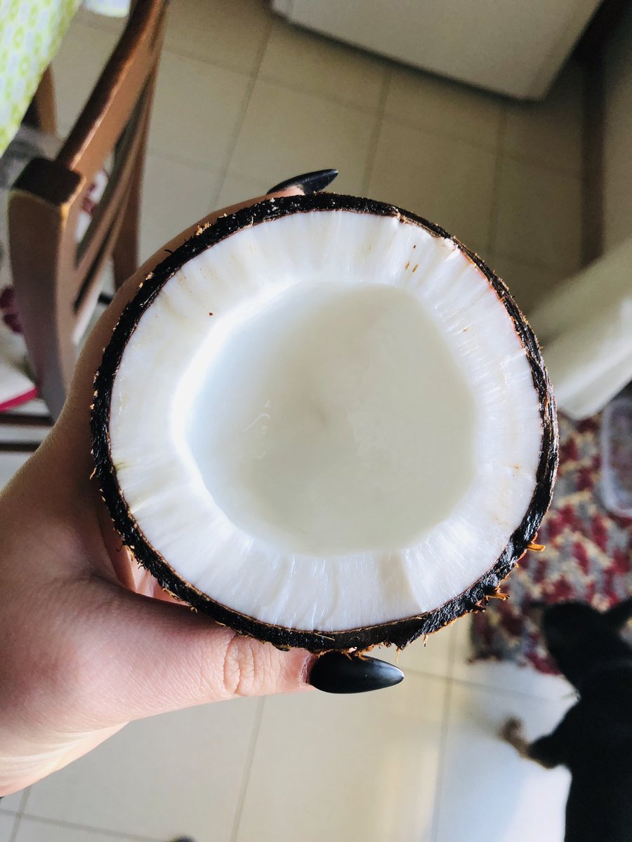 aliveforstyles_'s tweet photo. Allor, parlate tutti della pizza, patate, pistacchi, ma VOGLIAMO PARLARE DEL COCCO, DELLA SUA ACQUA, IL GELATO AL COCCO RAGA IL COCCOOOOOOOOO VENDEREI LA MIA ANIMA PER IL COCCO https://t.co/qE2ol8Q1xL