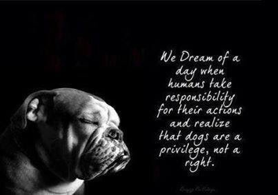 LizzyBorden6's tweet photo. Pets are family... ❤️❤️❤️ #love https://t.co/H4Cfhnjuw9
