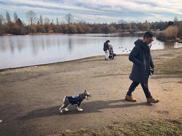 muffinjai's tweet photo. #FBF ⏮ Following @dredwardko at one of many #DogsOfVancity’s #BiggestDogMeetUpVancouver 🥰🐶🐾 #TroutLake #Vancouver 🇨🇦 https://t.co/XGZxgnE1Ru https://t.co/mW6Sw7fTha