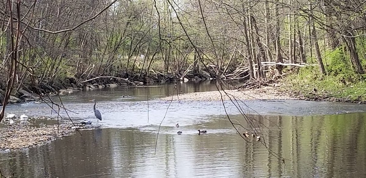 Riverdale_Park_'s tweet image. #TRP #NATURE #localenvironment #communitycleanup