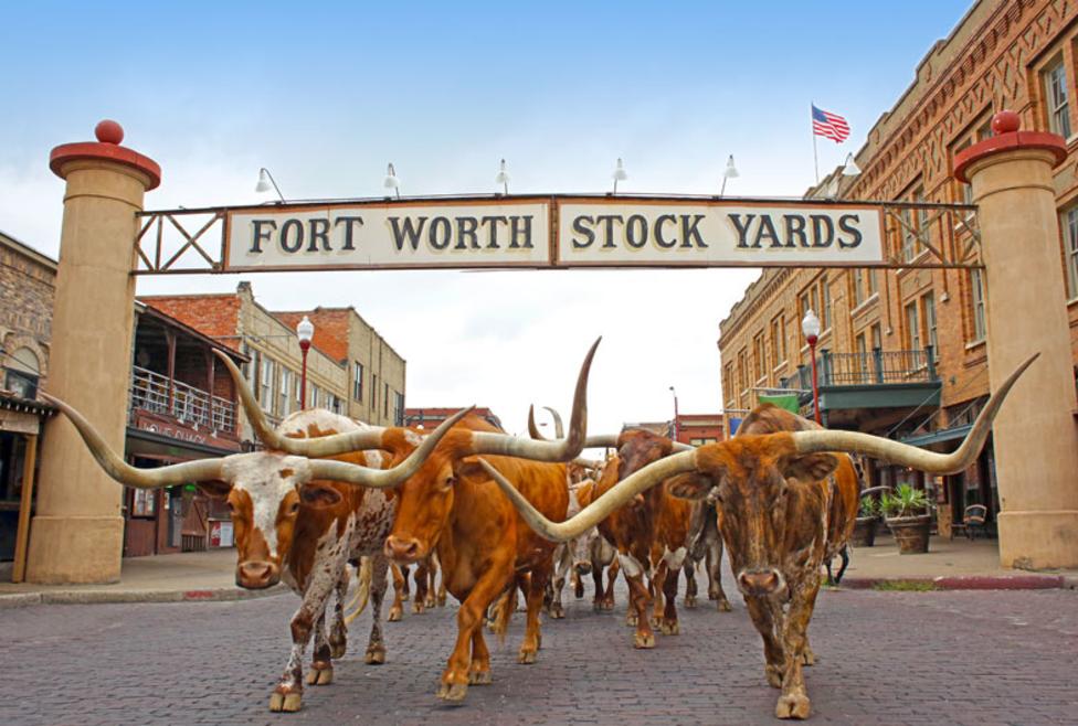 BudgetInn_TX's tweet image. The Fort Worth Stockyards is a historic district that is located in Fort Worth, Texas, north of the central business district. Stop by during your stay with us! #BudgetInn #FortWorth #TX