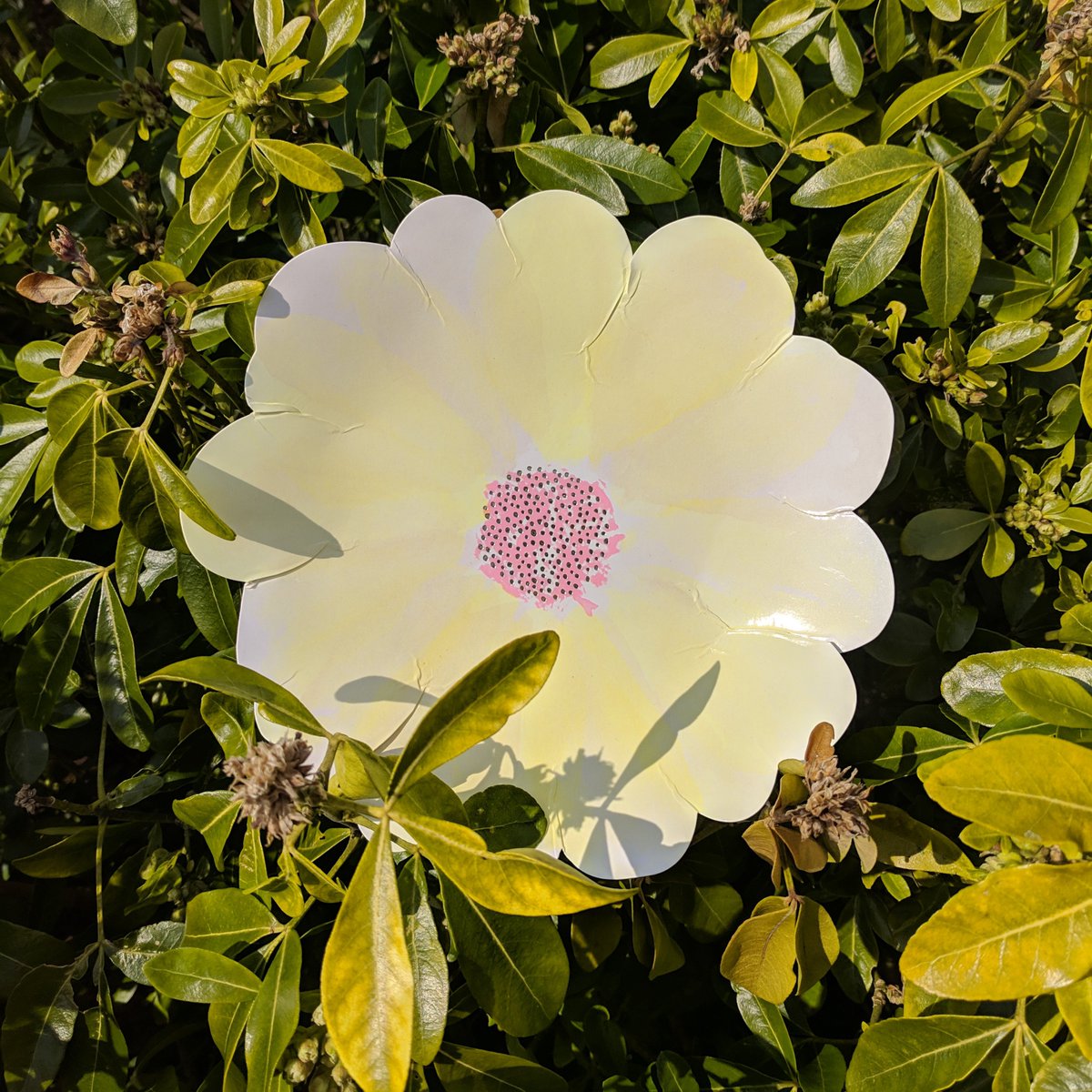 Gorgeous pastel petals and a super spangly sparkling centre! These party plates are a great choice for your Easter &amp; spring celebrations! (They come in yellow, blue, pink, &amp; purple!)

Find them here - ow.ly/cwPK30ops7b 
#easterparty #easter #easterinspiration #happyeaster