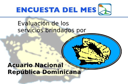 ObservaMap's tweet photo. Participa en la encuesta del mes de abril, evaluando los servicios del @AcuarioRDo 
https://t.co/Jf6ZfcEYjc https://t.co/0DjlYRhxpb