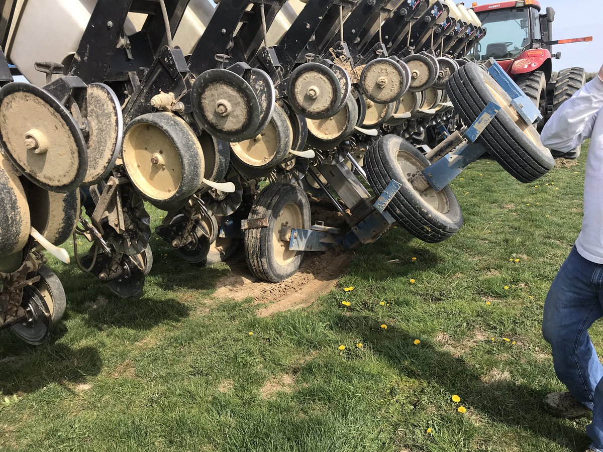 Amasing247's tweet image. #plant19