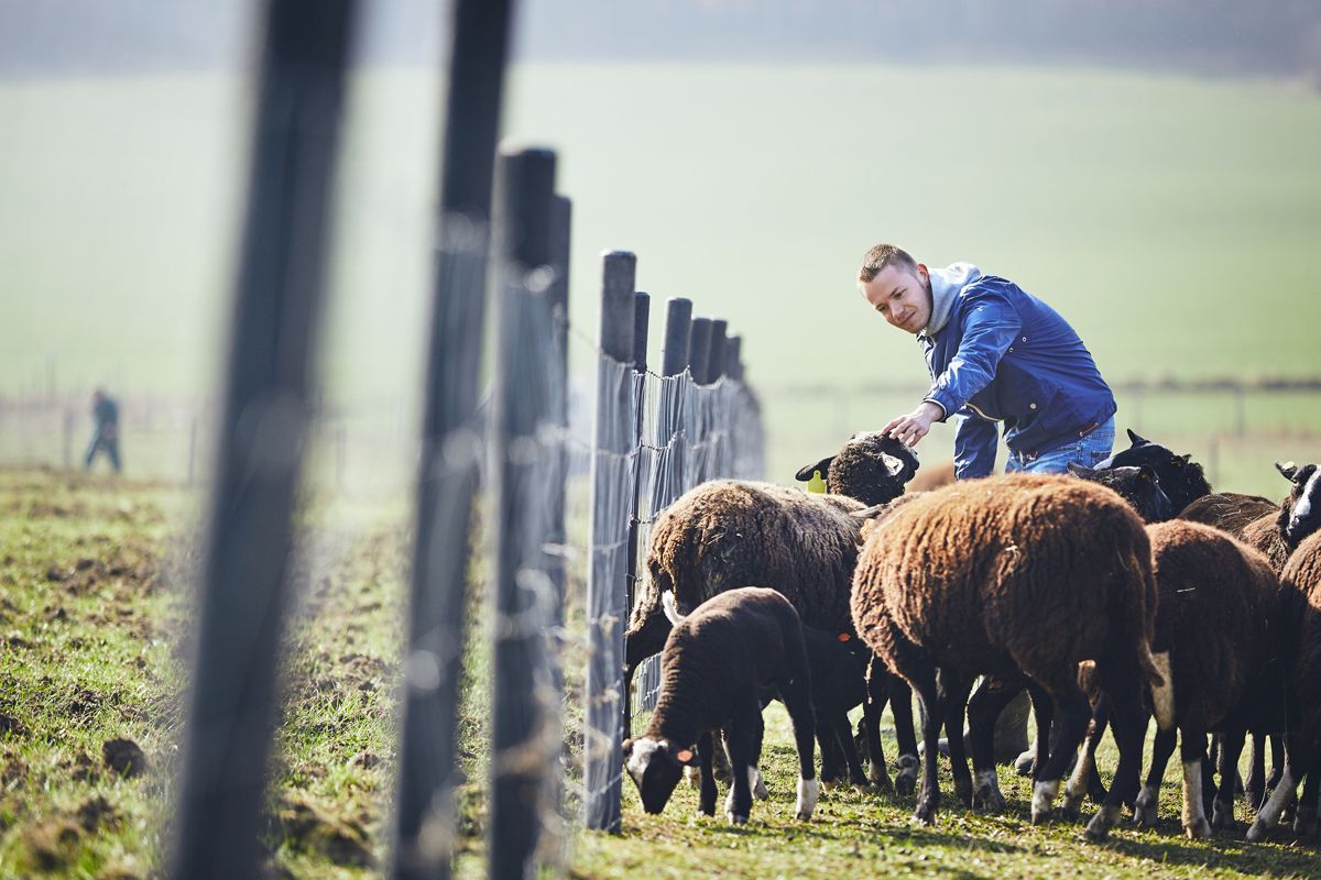 CivilEats's tweet photo. Despite many challenges, the U.S. has more young farmers than it did 5 years ago https://t.co/QxhaAVBthw #AgCensus https://t.co/R2U7gLWzO2
