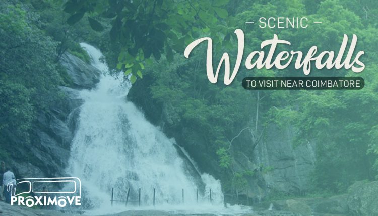 proximove's tweet photo. Are you on the hunt for the best tourist places to visit near Coimbatore this blistering summer? If so, take a look at this blog of ours &amp; decide upon before filling up your backpacks. https://t.co/CqbJ2hBAME
#Proximove #Trip #SummerTrip #SummerFun #Travel #Coimbatore https://t.co/1w0musaxGr