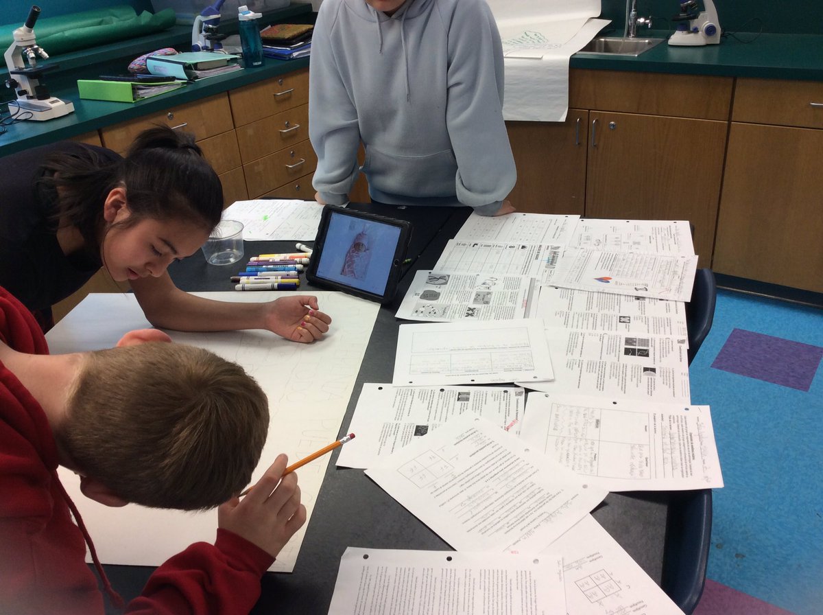 SraQuiroga's tweet photo. Putting our ideas together to finish our genetics PBL on identical twins! @APSGunston @APSscience https://t.co/qfqkPVpps1