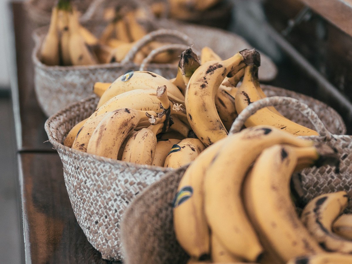Don't go bananas! Try out this banana baking recipe this week for a healthier alternative but still a well deserved treat! sculptmode.com/blogs/news/why… #BananaBread #Recipe #HealthyRecipes