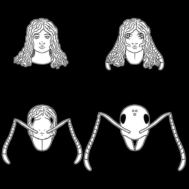 JornadasPatri's tweet photo. 🐜Cuentan que Jerónima era capaz de transformarse en hormiga ¡Asiste a nuestra ruta dramatizada el próximo 26 de abril en #Teror y descubre una historia fascinante! 🧙‍♀️ #JornadasPatrimonioTeror #HistoriasdeBrujas https://t.co/0tgMjAybtp