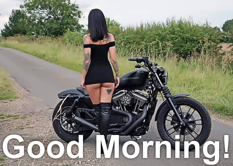 BikersLocal's tweet photo. Have a fantastic day! #bikerdating #singlebikers #bikersingles #bikerbabes #bikerpersonals 

Meet bikers, join - https://t.co/VZ6au12tlv https://t.co/Npp1GW5Wn9