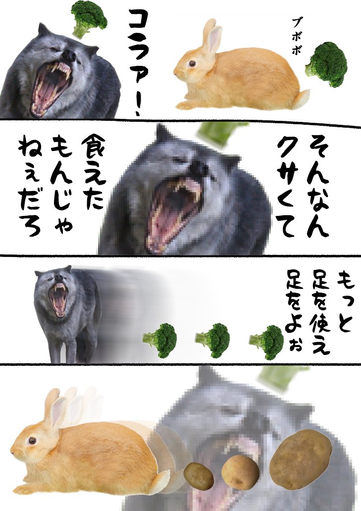 お題「ブロッコリー農家」

#4コマ漫画 #うさぎとおおかみ 