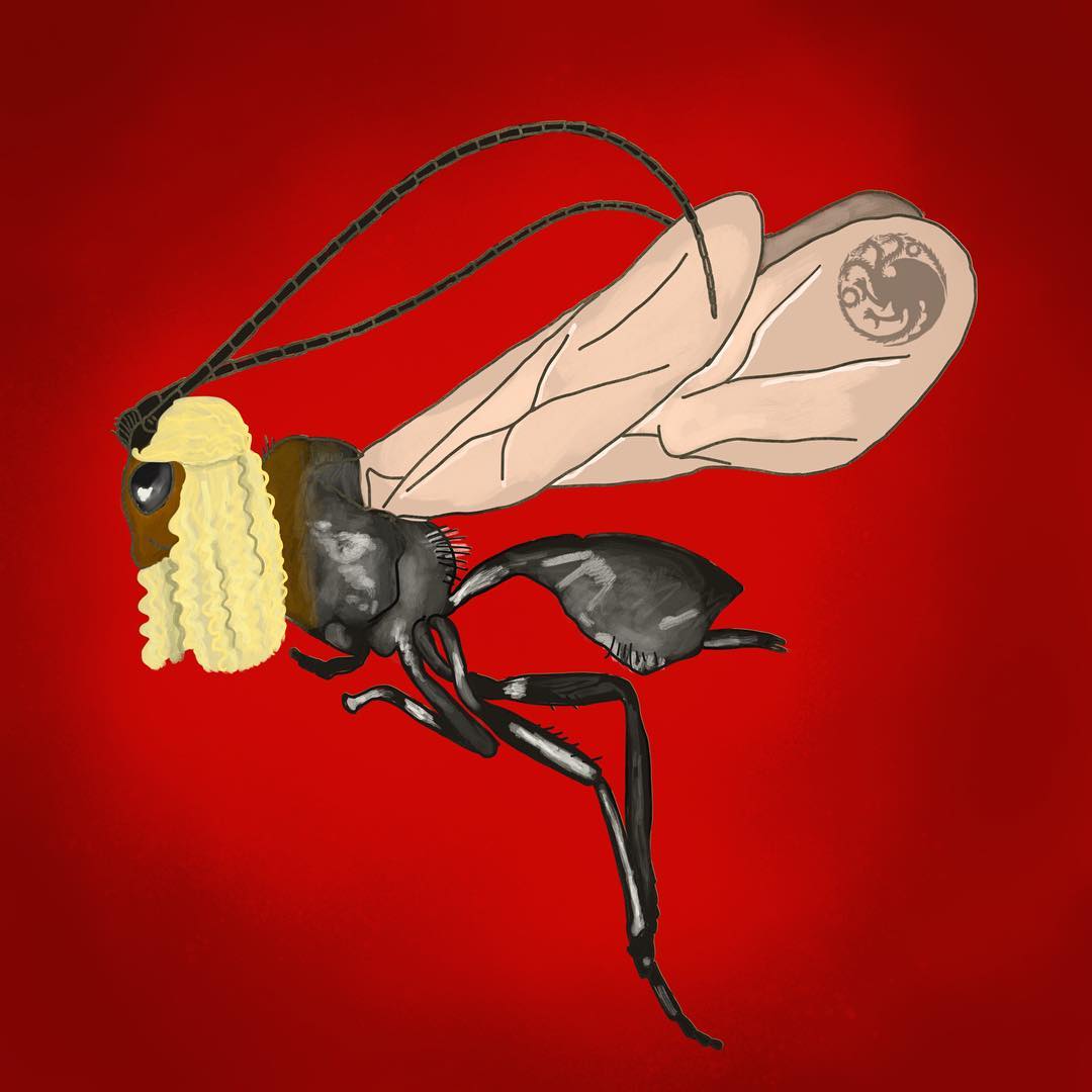 Ryan D. Ridenbaugh (@rdridenbaugh) on Twitter photo Who's ready for <a href="/GameOfThrones/">Game of Thrones</a>? I know who I want to see on the Iron Throne #DaenerysTargaryen. I found this wonderful drawing of our new species #EadyaDaenerys online and had to share it! All credit goes to Nirja Desai (@kalakar on IG) Who's ready for <a href="/GameOfThrones/">Game of Thrones</a>? I know who I want to see on the Iron Throne #DaenerysTargaryen. I found this wonderful drawing of our new species #EadyaDaenerys online and had to share it! All credit goes to Nirja Desai (@kalakar on IG)