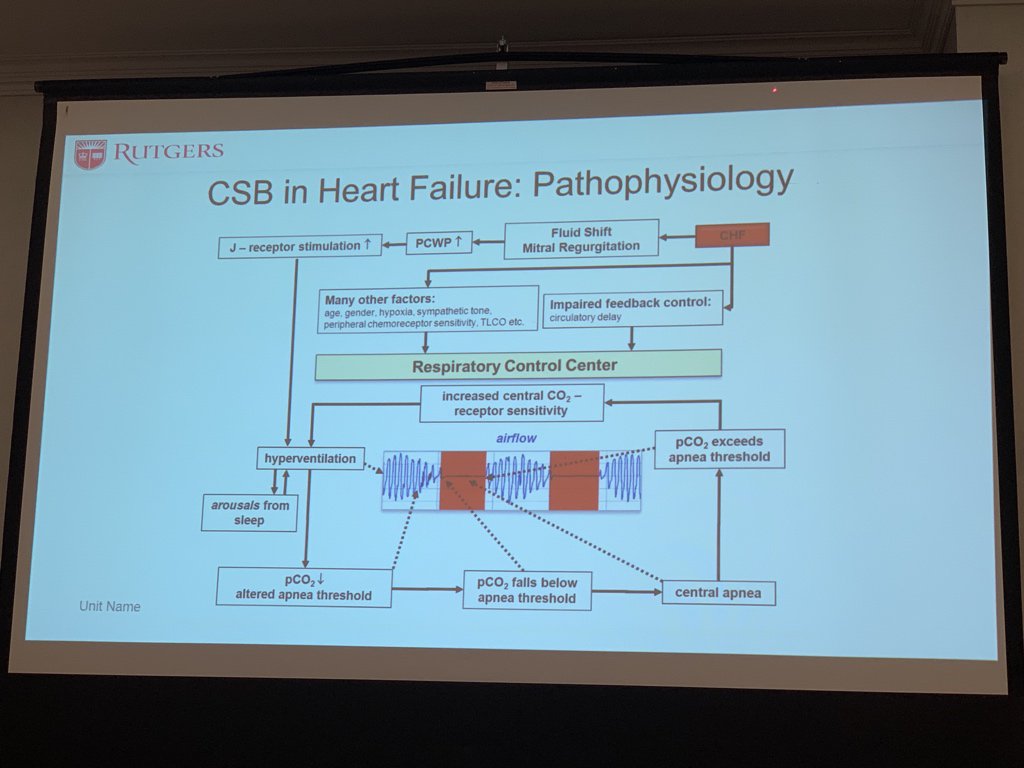 AceaNYC's tweet photo. Explaining the pathophysiology of central sleep apnea Dr Aurora. #NJTS2019 #osas @atscommunity https://t.co/ZvXKhajhbs