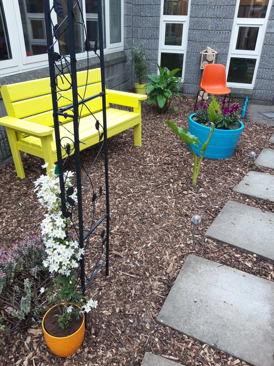 dccscarea's tweet photo. #yourcouncilday #dolásachomhairle TransitionYear ZenZone #CommunityDevelopmentSupport @DCCParks_Biodiv @mercyinchicore @DubCityCouncil @Mercy_YSI @HazelPBP @InchicoreEnviro https://t.co/x3ygfMBHvd