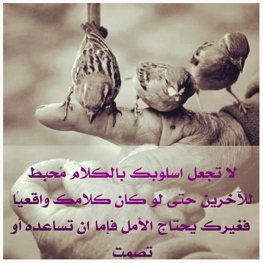 لا تجعل اسلوبك بالكلام محبط للأخرين حتى لو كان كلامك واقعيا 🗣️

فغيرك يحتاج الامل فإما ان تساعده او تصمت 🌈