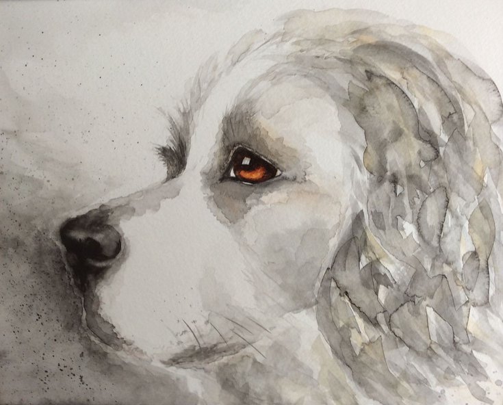 ArtfinderDogs's tweet photo. Springer Spaniel by @ArtbyJillAspin #watercolor #painting #art https://t.co/xNyi6XcgeN @artfinder https://t.co/tOWJ8VOYEz