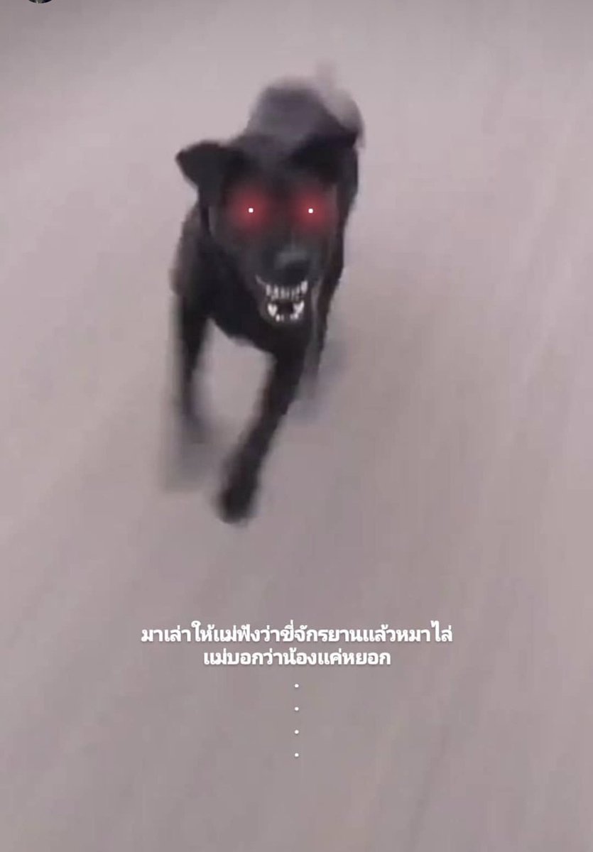 บมฮʕ·ᴥ·ʔ📱📸✨ tweet media