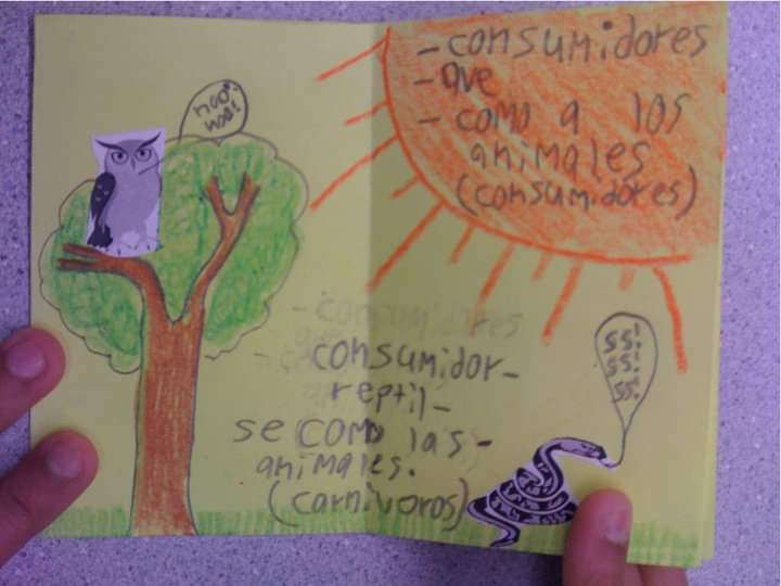 0316_ally's tweet image. Visuals are critical in ensuring that LLs comprehend classroom instruction, content, and concepts. 
#contentvocabulary #engagedlearning #studentcreated #foldablebooks 
@Jechev @TanELLclassroom @SIOPModel  #ellchat_bkclub #Bilingual