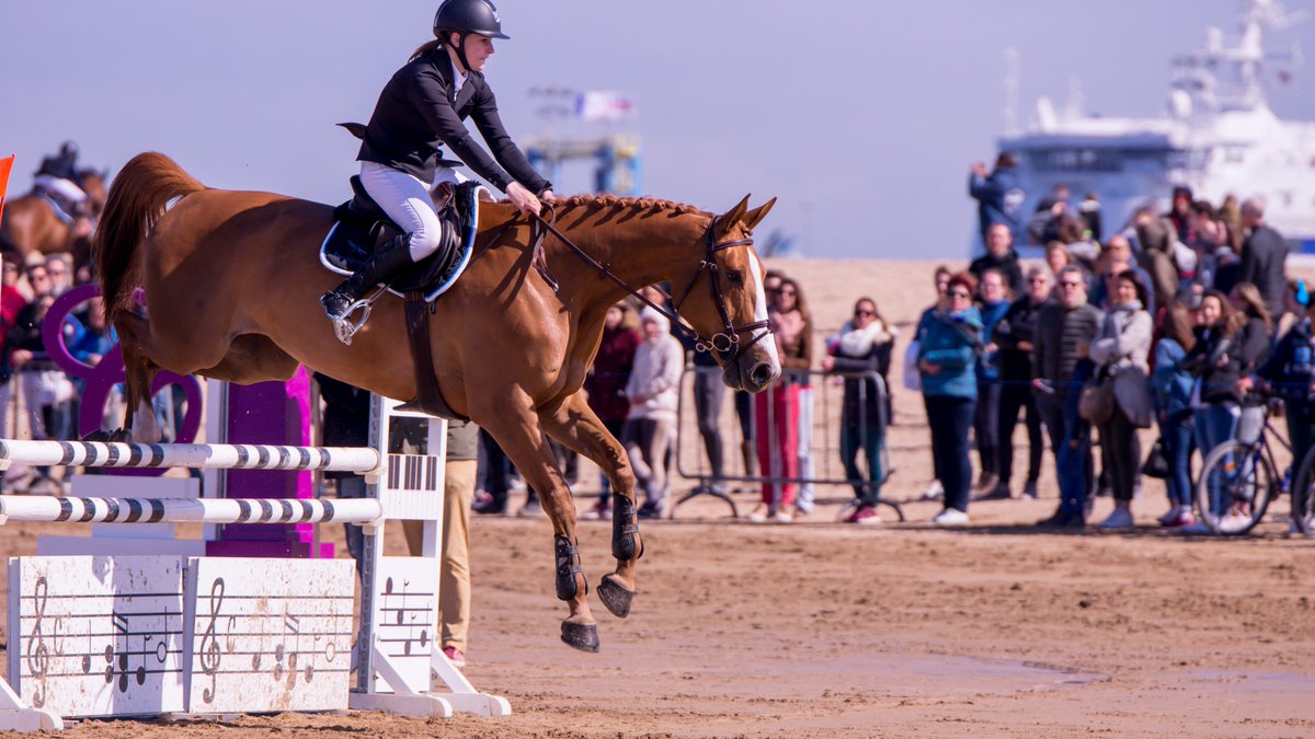 OT_Caenlamer's tweet photo. [Les événements du week-end] 13-14/04 :
✅ #FENO, Festival de l'excellence Normande à #Caen
✅#JumpEM, compétition hippique normande sur la plage de #Ouistreham 
✅Visite guidée sur la Statuaire Caennaise
Voir l'agenda : https://t.co/6V5CTQQqZW https://t.co/uFxsU4Mv0j
