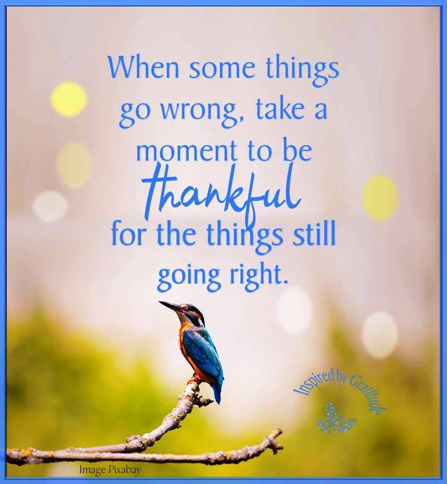 BearsPrez's tweet photo. Gratitude seems to take a back seat during our challenges in our life.  However, if we  have an ATTITUDE OF GRATITUDE for all the things in our life, the challenges become easier to deal with.  An Attitude of Gratitude just makes life easier. https://t.co/wOXSlkk1IJ