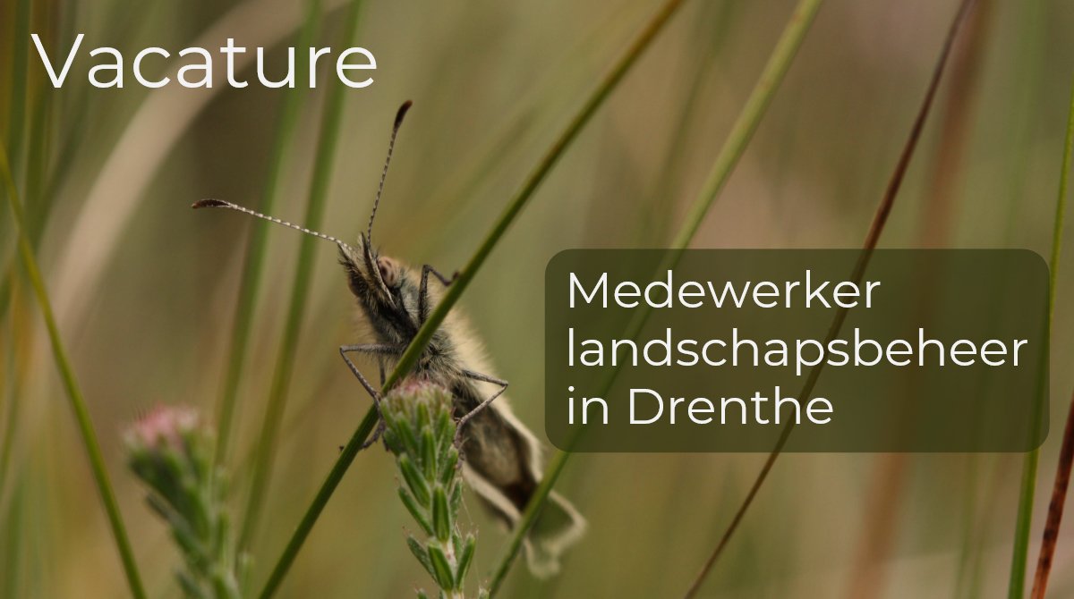 Leuke vacature bij Landschapsbeheer Drenthe!  We zijn op zoek naar een medewerker landschapsbeheer. Word jij onze nieuwe collega? Kijk voor meer info op: bit.ly/2Ue5mrp
