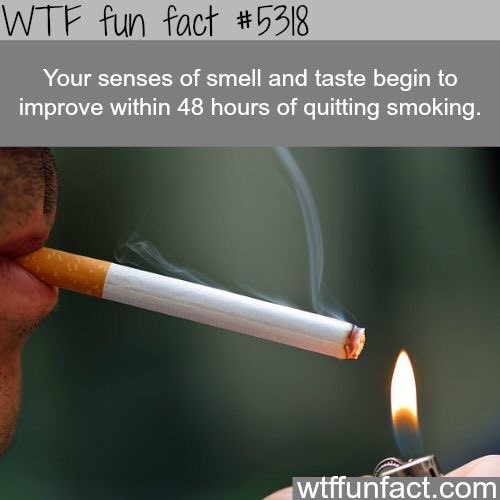 Good morning Sycamores! Did you know....?