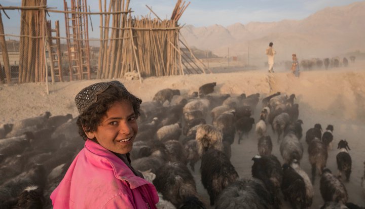 Cashmere and collaboration: businessfightspoverty.org/articles/how-i…