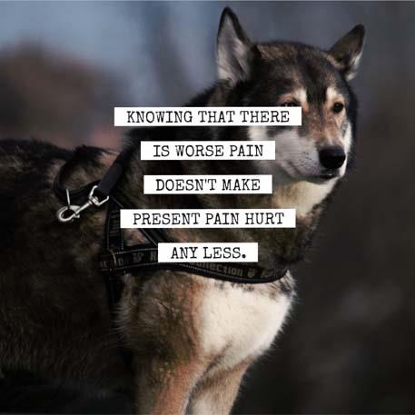 Lean4Lifetime's tweet image. Consider this brilliant saying