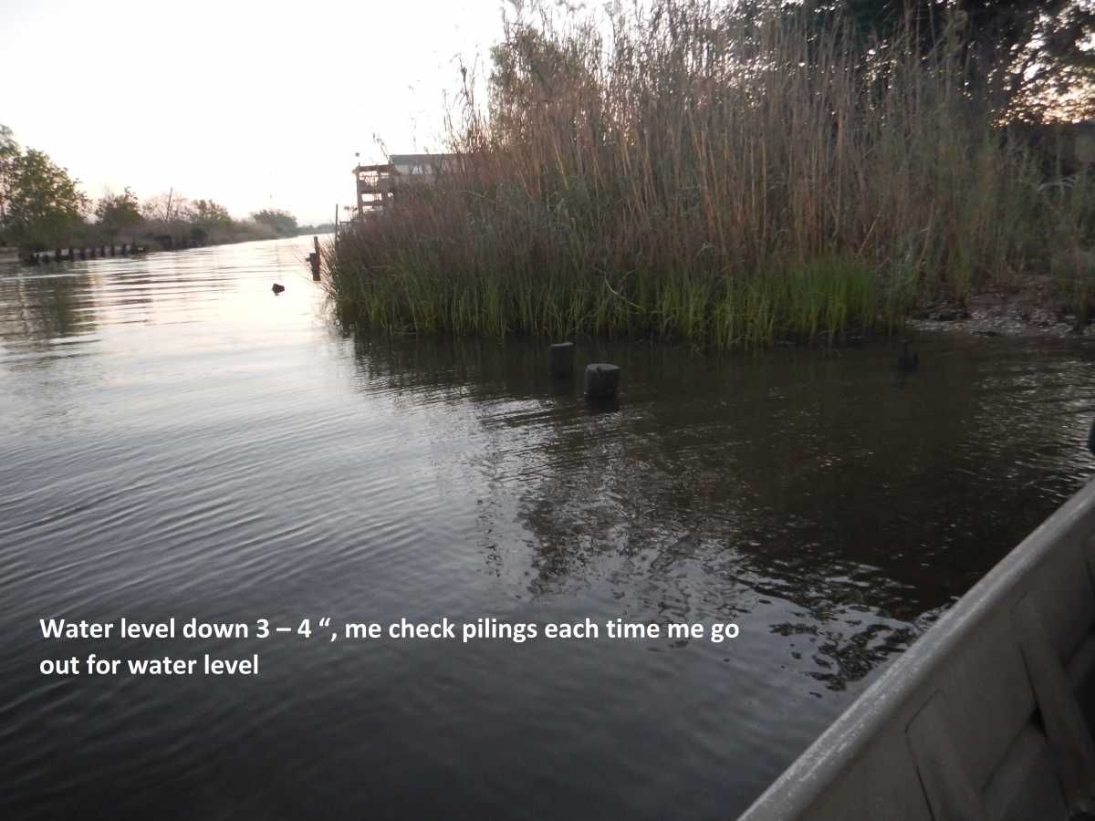 All RnR reports by   
Link:  rodnreel.com/report-author/… 
 Lake P Believers