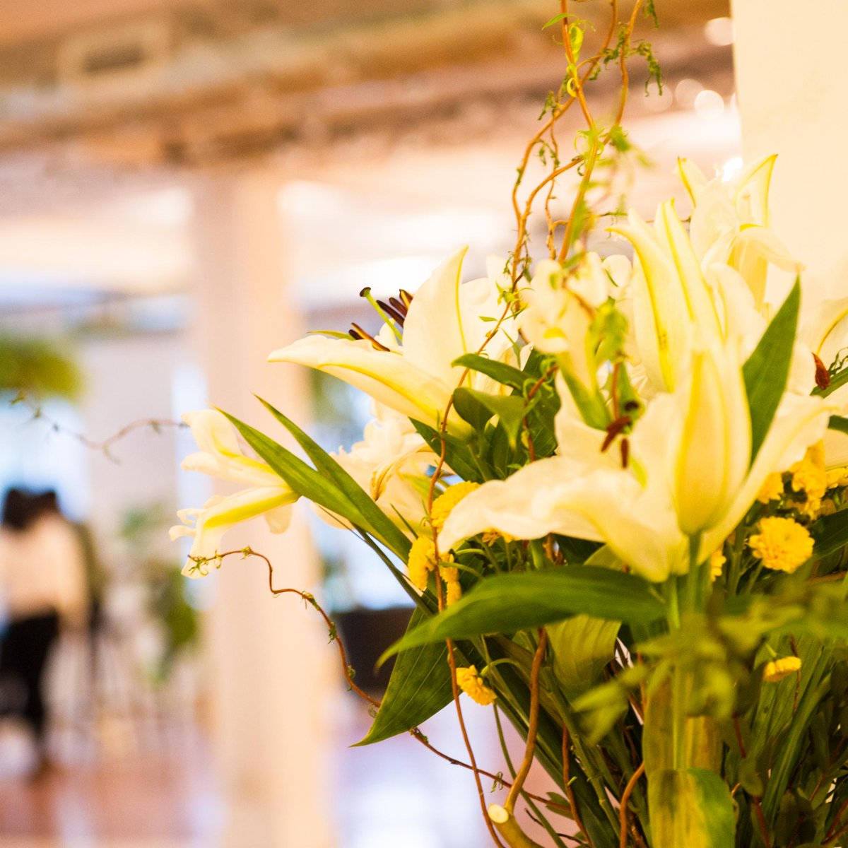 Anomaly_MTL's tweet image. Friday?! More like Fri-YAY! We&apos;re walking into the weekend with an extra spring in our step thanks to our bright and open spaces. Book a tour and come see for yourself. 🔆🌱🕶

#AnomalyMtl #Plotlylife #Montreal #Tech #Canada #MTL #MTLTech