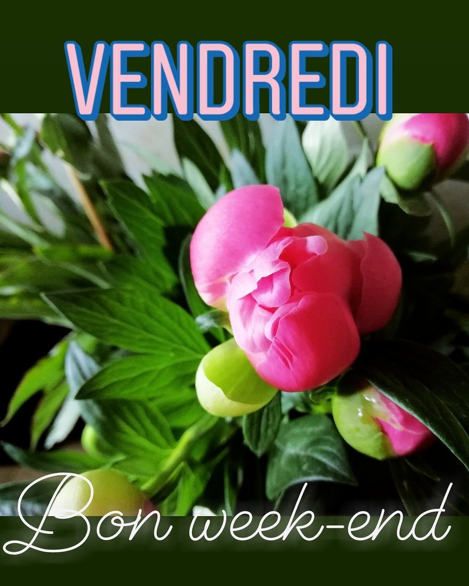 Bon week-end #lyon #paysage #passion #printemps #work #sun #projets #espacevert #weekend #vendredi #pivoine #photography #rhone #paysagistelyon #paysagistecitadin #greenmania #craquage #soleil