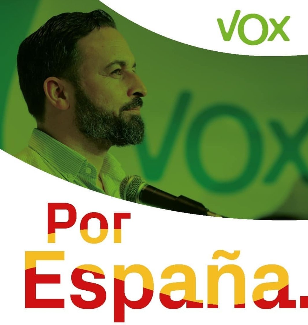 Team VOX (@AvanzaVOX) / Posts / X