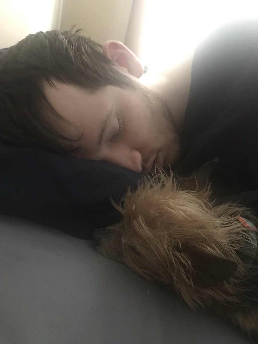 DailyDoseOfZoey's tweet photo. We don’t wanna wake up 😭 #DailyDoseOfZoey #WeLoveSleep #Friday #WeekendCuddles #DaddysGirl #SleepyPup https://t.co/404i5iEYaN
