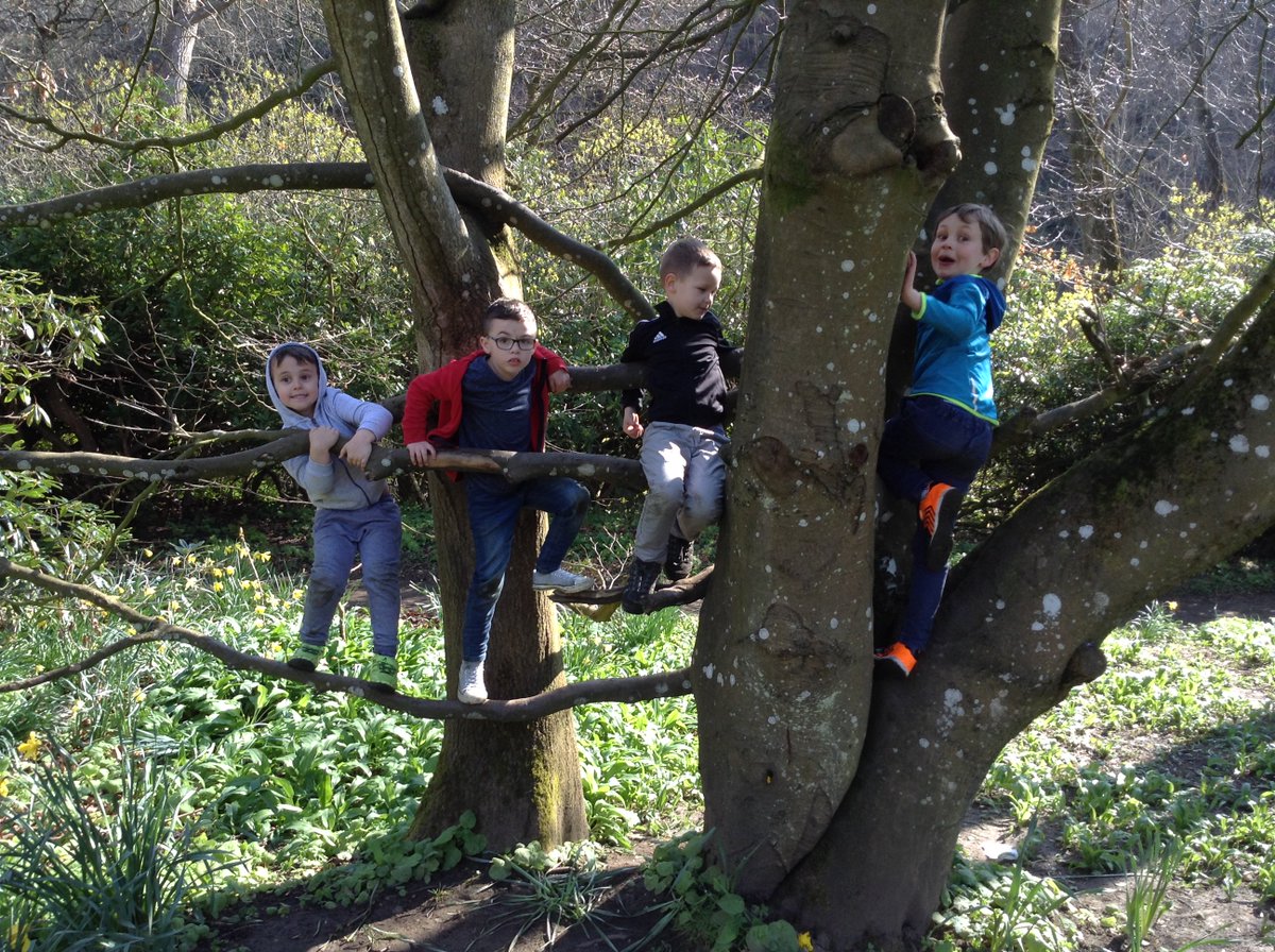 SimplyPlayWL's tweet photo. Happy days climbing trees @LoveWestLothian #muiravonside #dedridge #westerinch https://t.co/Nm3fqD4RCf