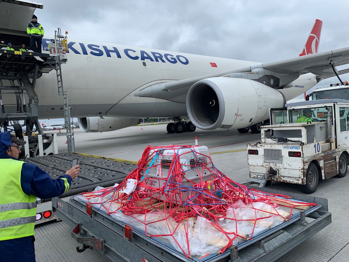 CargoagentN's tweet photo. Beloglavi sup je sleteo :) https://t.co/2HfDKHo8uK
