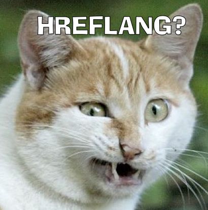 Barbara Bazzoli tweet media