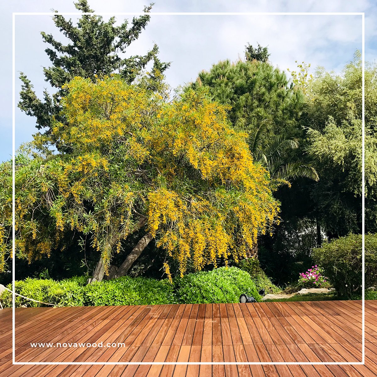 Novawood_AS's tweet photo. INNOVATIVE, STYLISH AND SIMPLE
Project : The Marmara Hotel 
Product : TMT Iroko Marin Decking
Location : Bodrum / Turkey
#novawood #thermowood #iroko #marin #decking #deck #project #deckdesing #product #wood #woodwood #buildingwood #location #bodrum #muğla #turkey #instalation https://t.co/KNv7zUTdVN