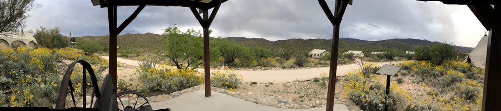 I’m an early riser &amp; when I travel btw my body stubbornly sticks to EST. That means quiet time &amp; coffee while I’m waiting for the sun...
instagram.com/p/BwKFYRrH4Yd/

#selfcare #selfhypnosis #closeyoureyesgetfree #closeyoureyes #sunrise #travelgram #arizona #tucson #desert #glamping