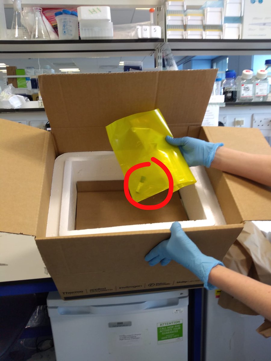 ECOgroup_SII's tweet photo. Hi @thermofisher we would like to reduce our carbon footprint and generate less waste. We hope that you'd like to do this too! Can antibodies be shipped in smaller boxes or envelopes please? :) 🌱
@ThermoFisherPR #ReduceReuseRecycle #ebioscience #thermofisher #sustainability https://t.co/AuRKlEMk2f