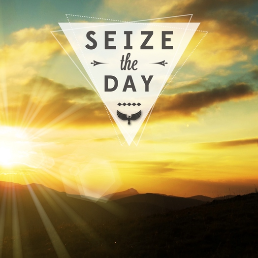 Adapted Vehicle Hire tweet media