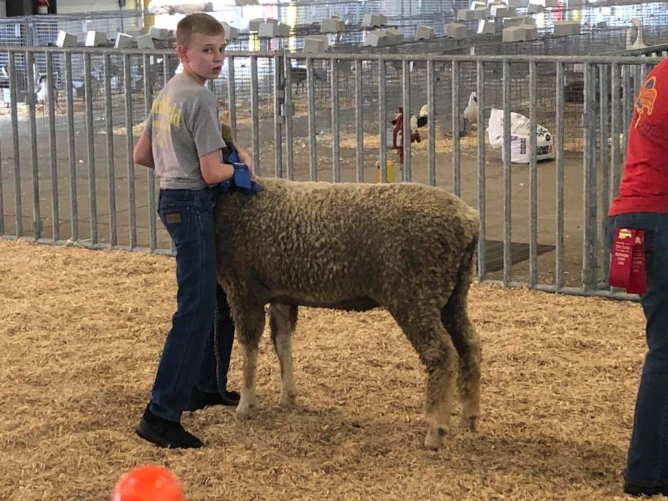 firefighter89's tweet photo. Happy 14th to my youngest, who loves agriculture & raising livestock. Next stop-DRIVING. #RainbowBaby #SheepProducer #BirthdayBoy https://t.co/dELNBllm5H