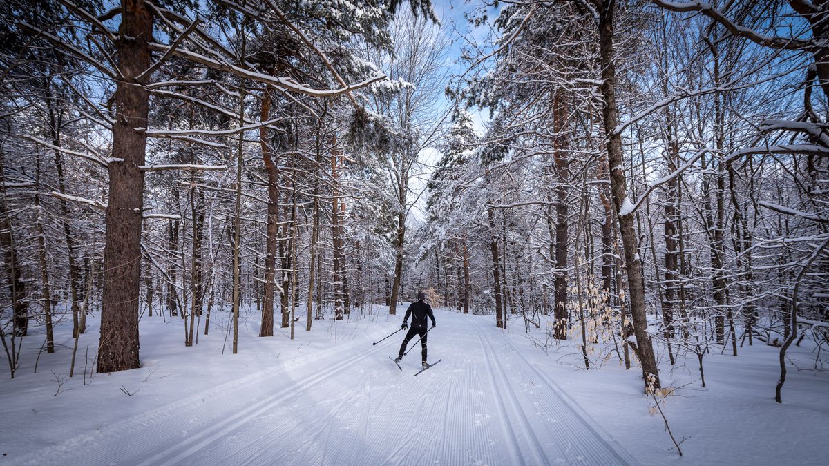 NCC_GatPark's tweet photo. #GatineauPark’s winter season is now coming to an end. The last official day of grooming operations will be Sunday, April 14. Park’s first aid patrollers will no longer be in service after this date. https://t.co/vOAKZhHEiP https://t.co/213THPOqrc
